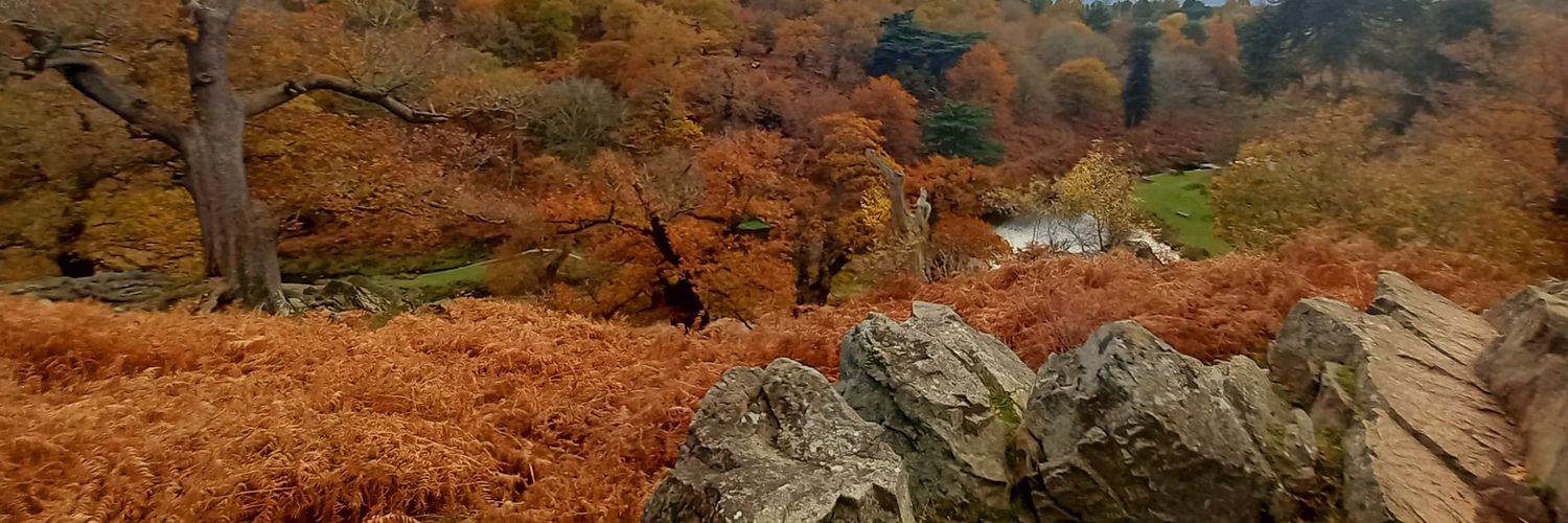 Quarmss's profile banner image