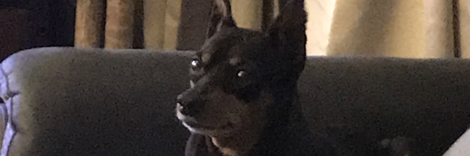 🇺🇸BobbyBallistic🔥🚀🔥 banner