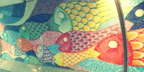 orange711011's profile banner image