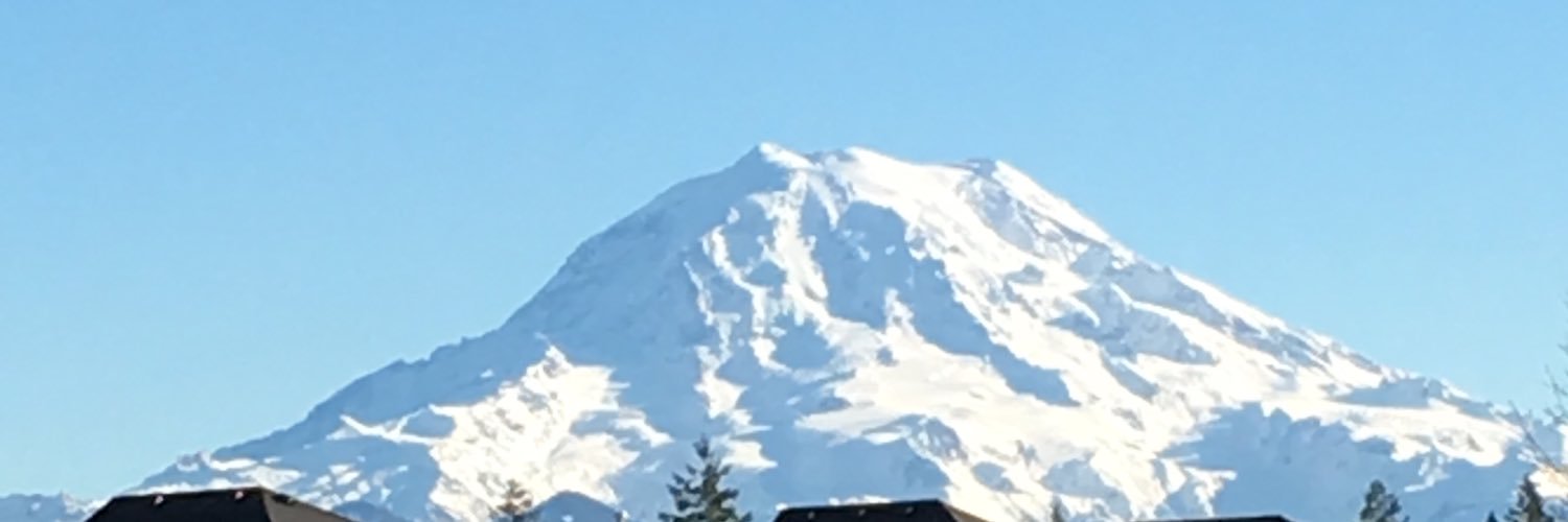chic_seattle's profile banner image