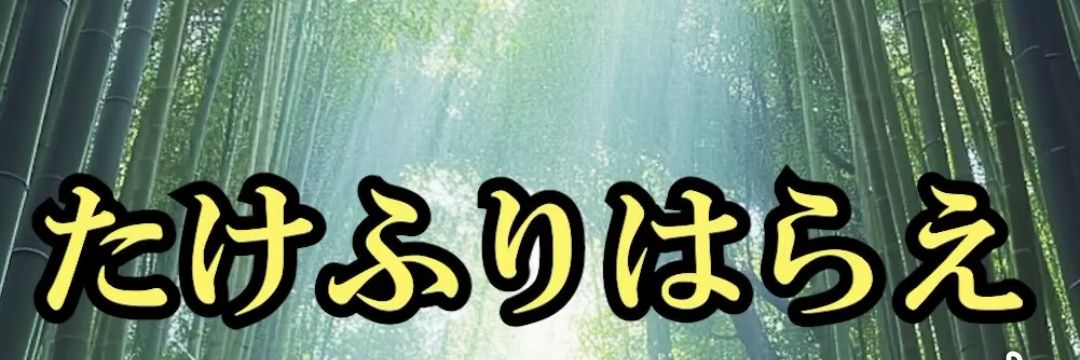 masalinne's profile banner image