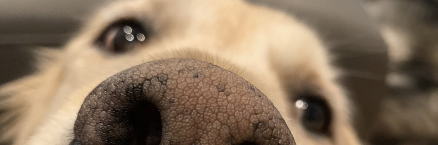 JackieHilty's profile banner image