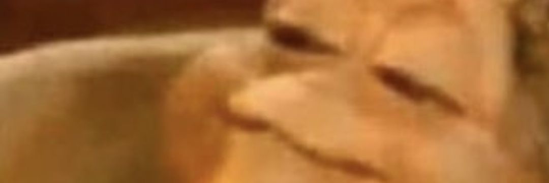 Javito13698's profile banner image