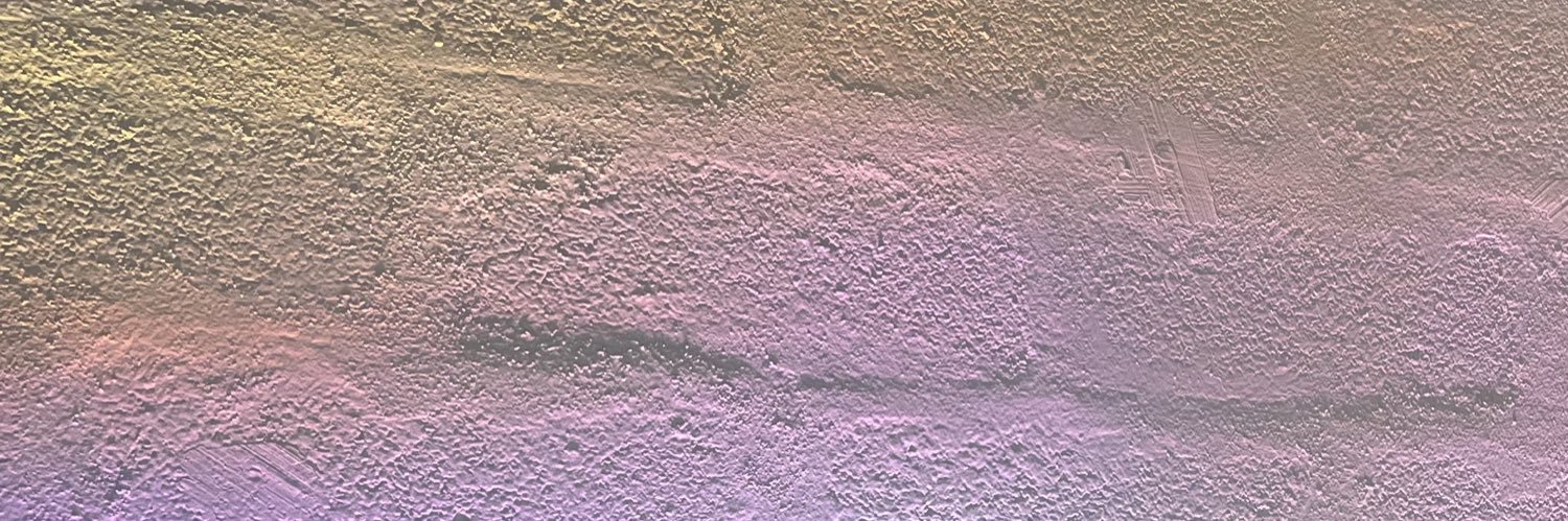 VTrussardi's profile banner image
