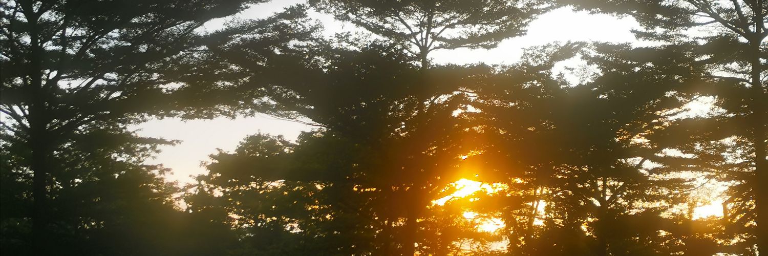 inicrey's profile banner image