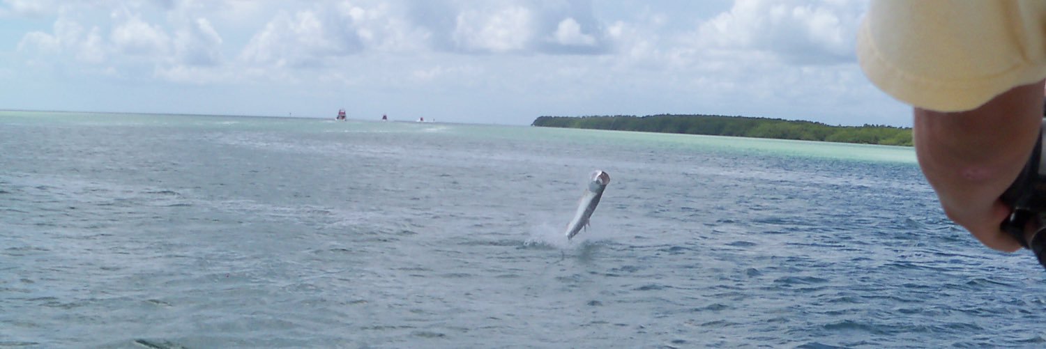 FishingWithGoo's profile banner image