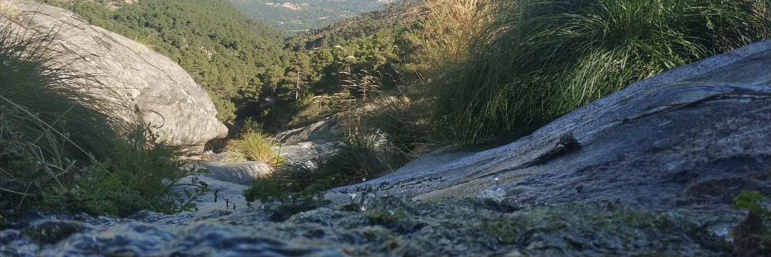 miguel_asdf's profile banner image