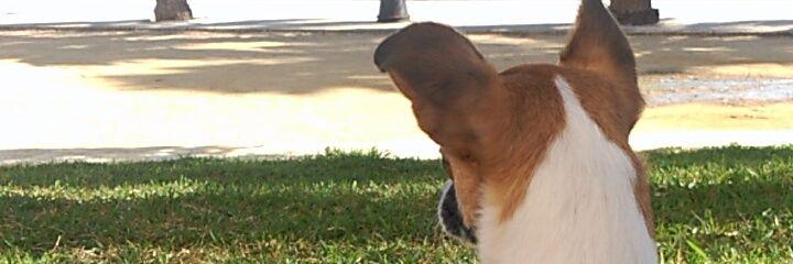 MariaViass's profile banner image