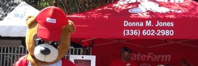 Donna M. Jones banner