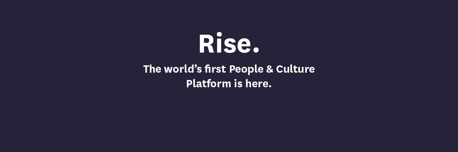 Paysavvy (Now Rise) banner
