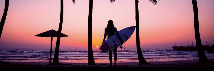 Chanelle Botha banner