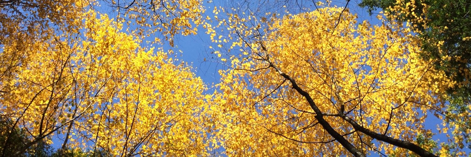 Ben_Troyer's profile banner image