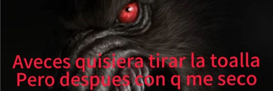 Passorete's profile banner image
