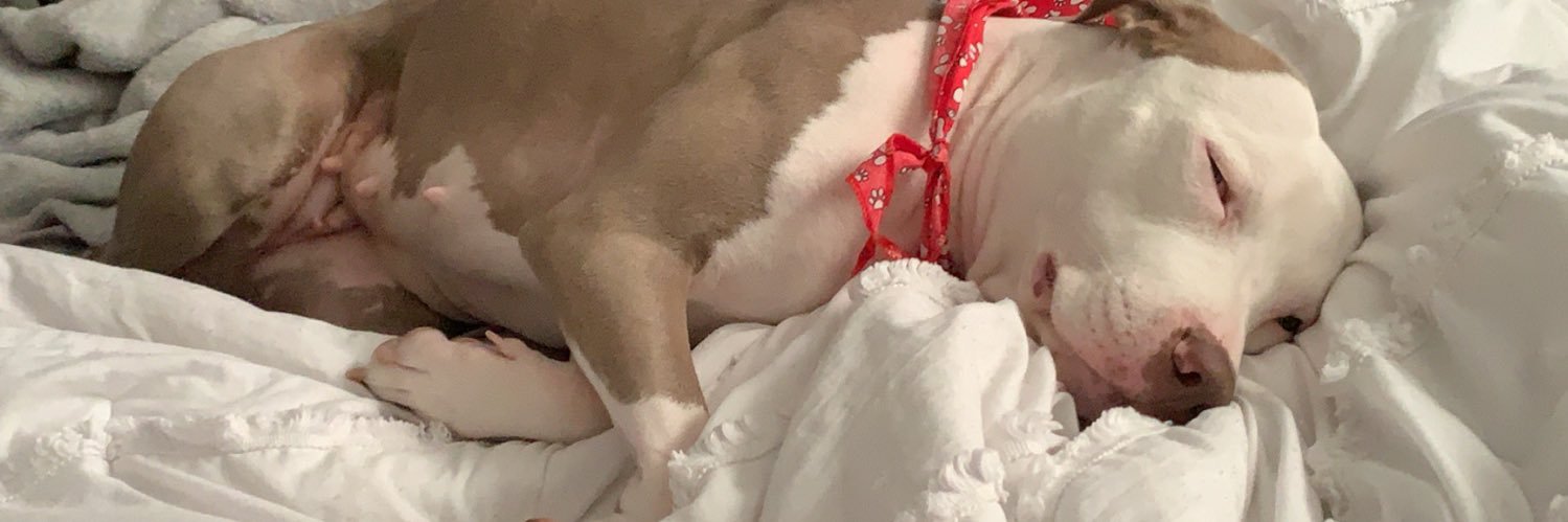 swipekitty's profile banner image