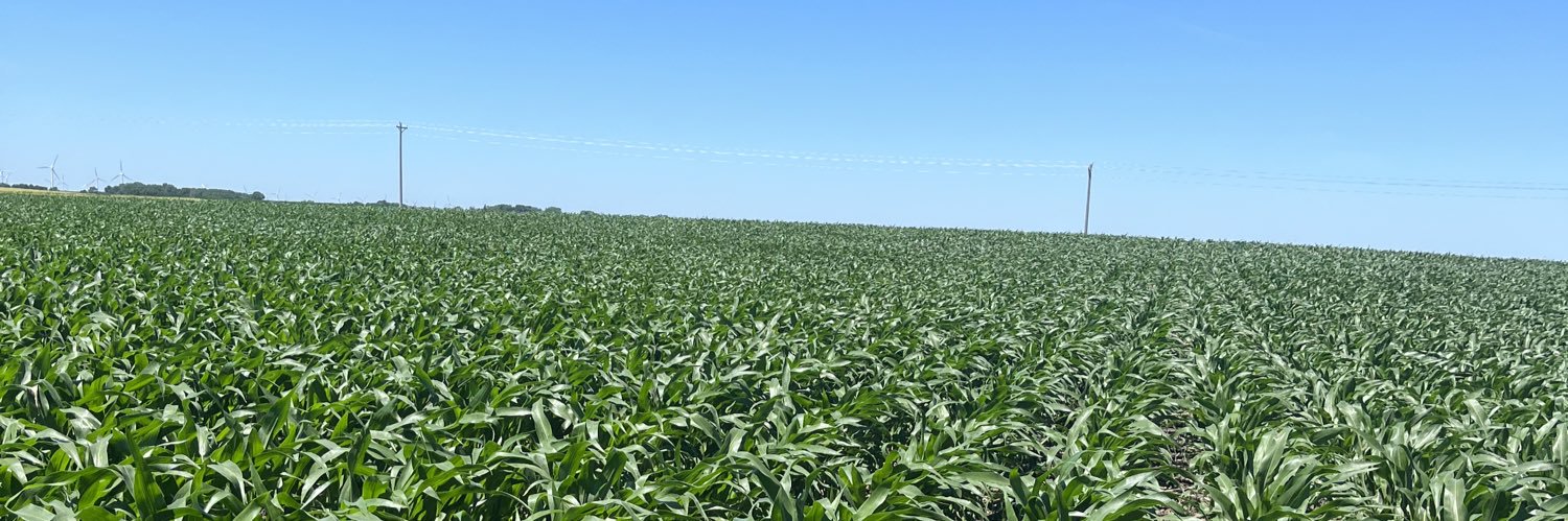 Stephan Melson banner