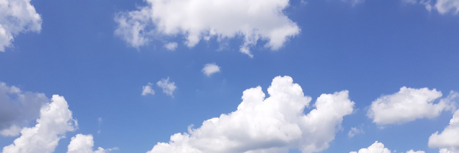 Joyfulexclusion's profile banner image