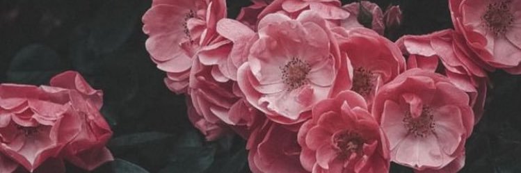 eliferkan34's profile banner image