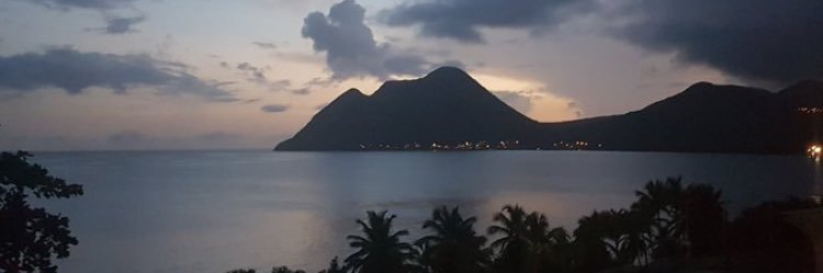 Mandarine 💛 banner