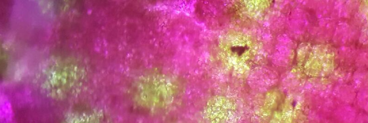 devyn_crisman's profile banner image