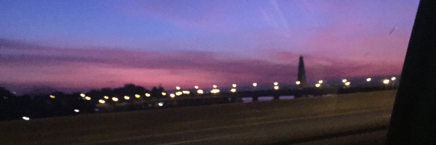 luizabranco__'s profile banner image