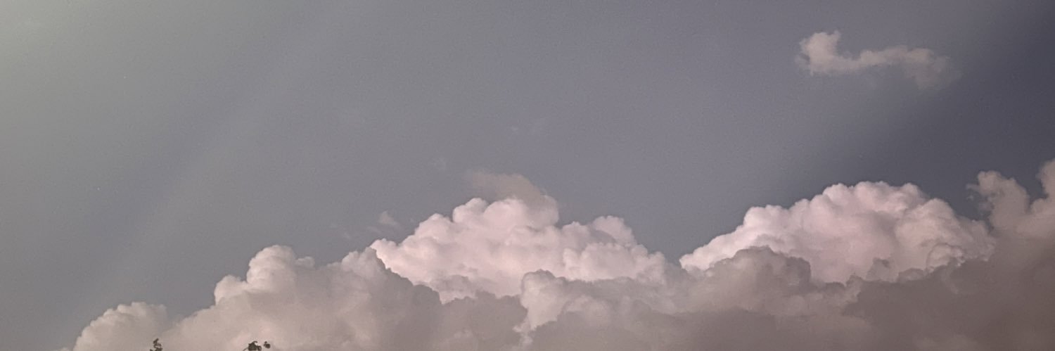 GulrizSaglam's profile banner image