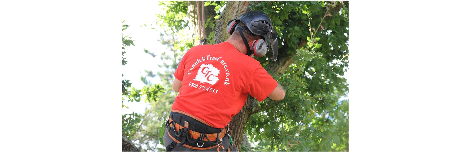 ConnickTreeCare's profile banner image