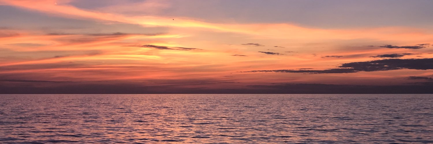 shea_purcell's profile banner image