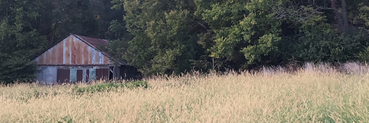 Escherich74's profile banner image