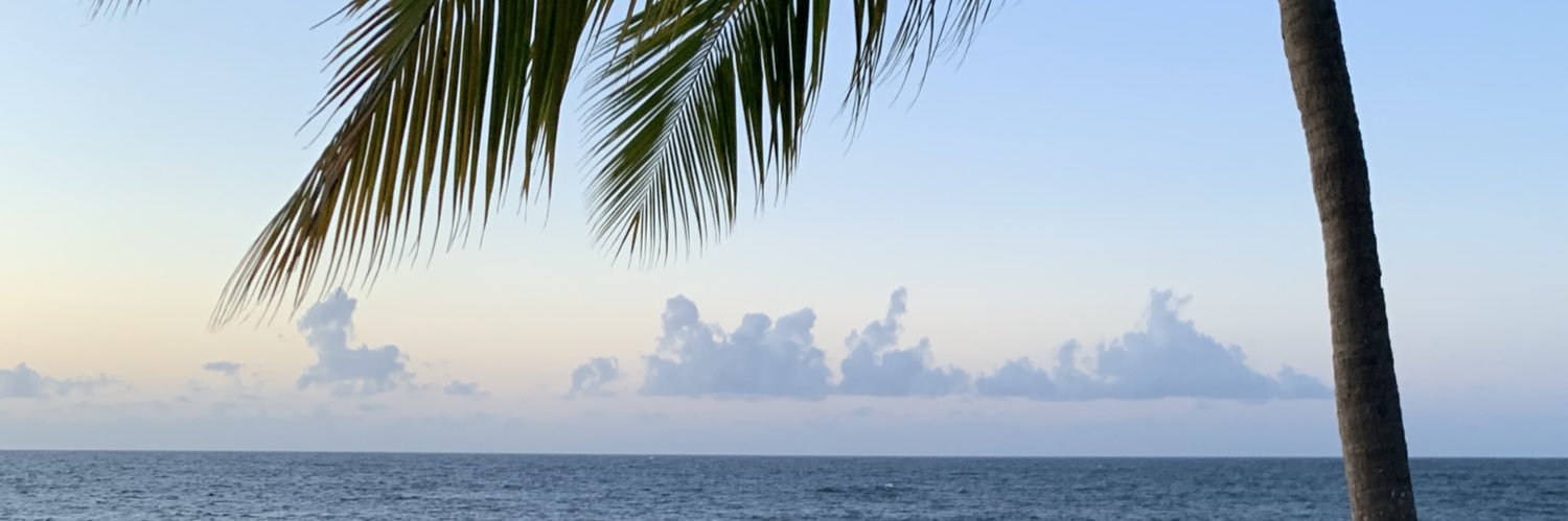 NiamhAdkins's profile banner image
