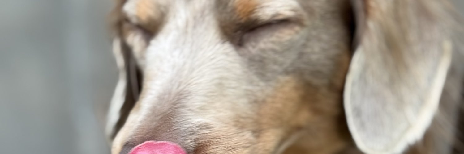 cwil0622's profile banner image
