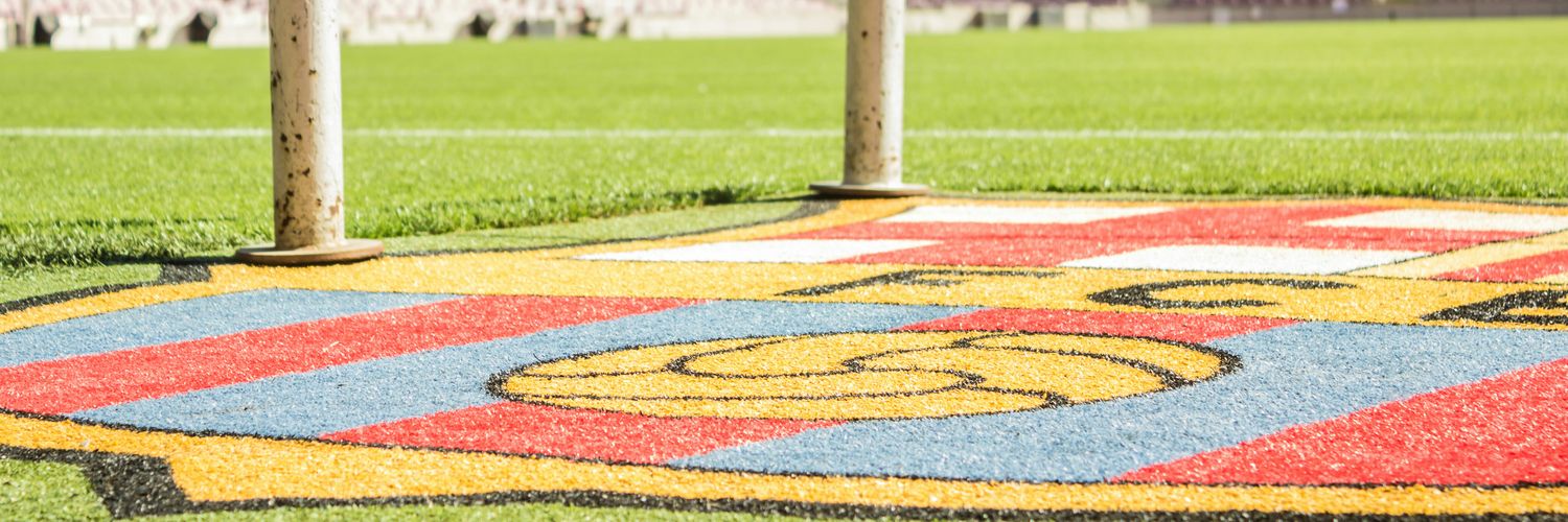 fedecan1991's profile banner image