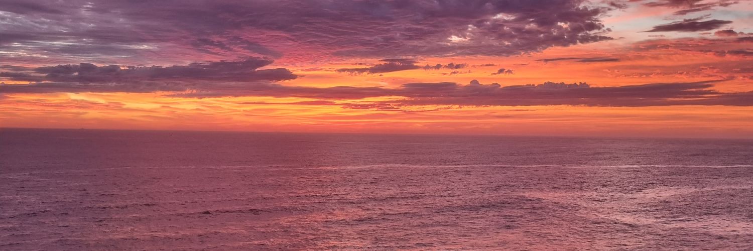 ginicampitelli's profile banner image