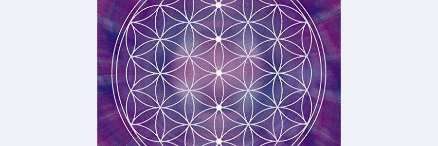 frederic_huin's profile banner image