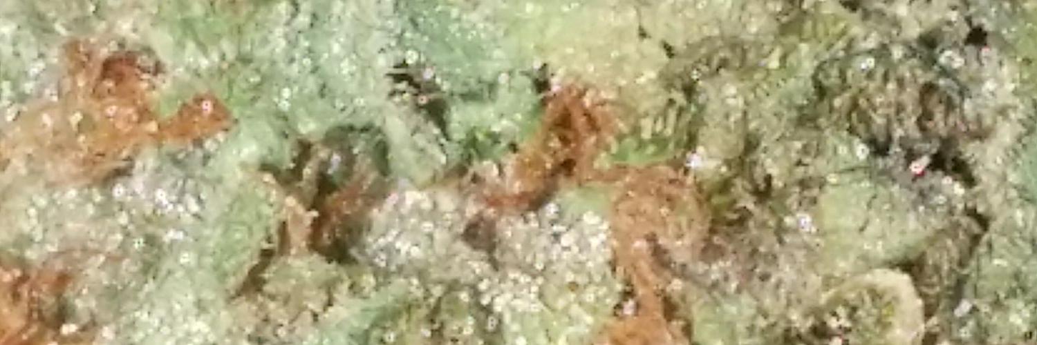 rupdeezy's profile banner image
