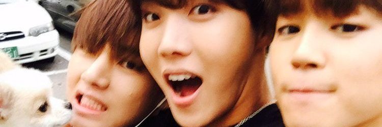 llatomm91's profile banner image