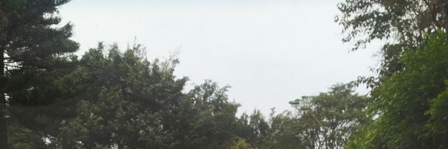 l13n33's profile banner image