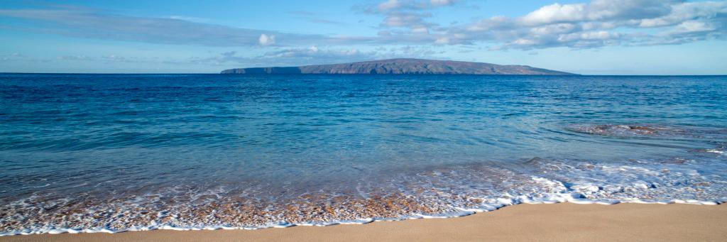 Marina Starleaf Riker banner