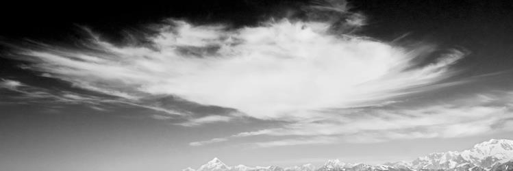 Jim Stratton banner
