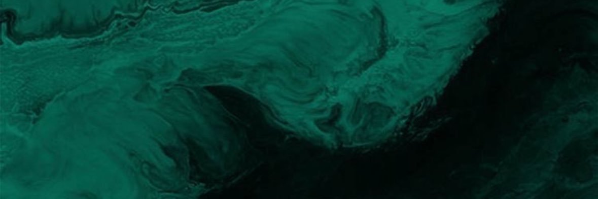 StewieBayy's profile banner image