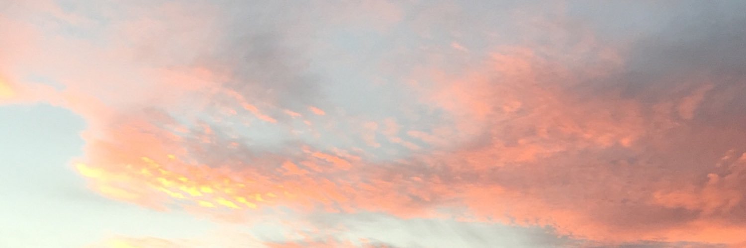 lakenajohnson's profile banner image