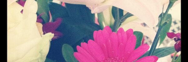 ASawyerYork Profile Banner