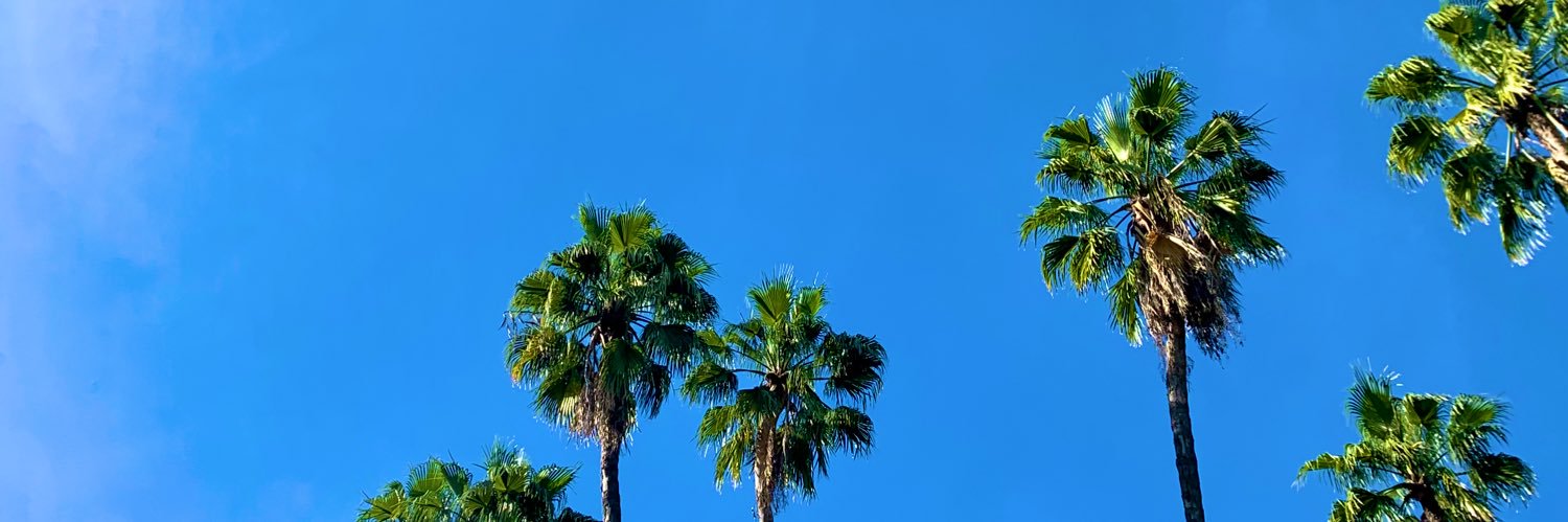 TereEstepa4's profile banner image
