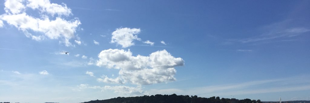 Poppy Pickles banner