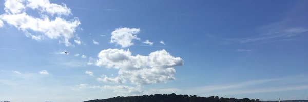 PoppyKPickles Profile Banner