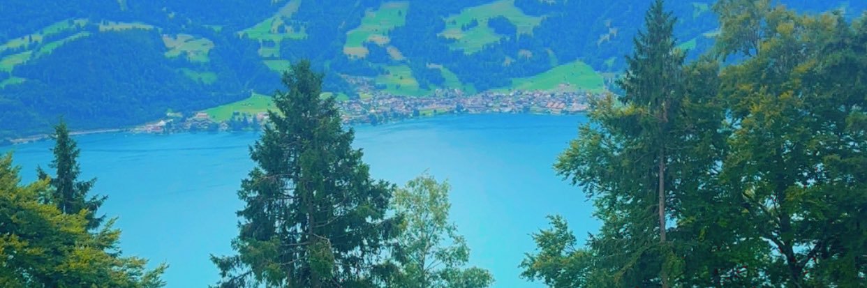 abdallhaldgem's profile banner image