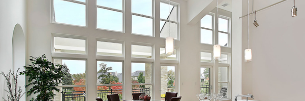 ProView_Windows Profile Banner