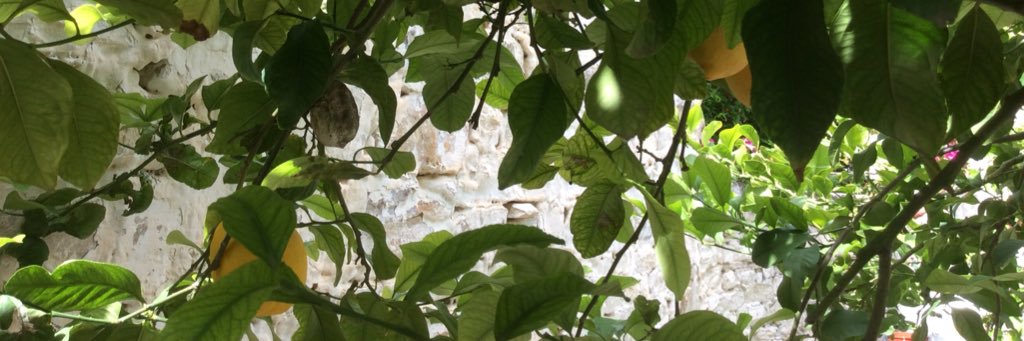 ALifeInCyprus's profile banner image