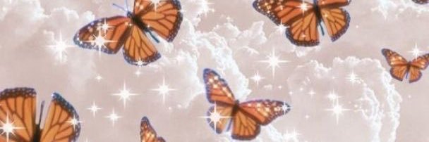 sophiabotto's profile banner image