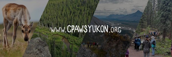 CPAWSYukon Profile Banner