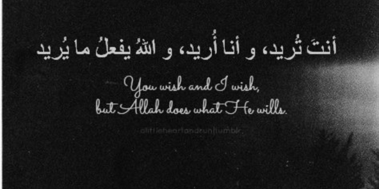 Atiyah_94's profile banner image